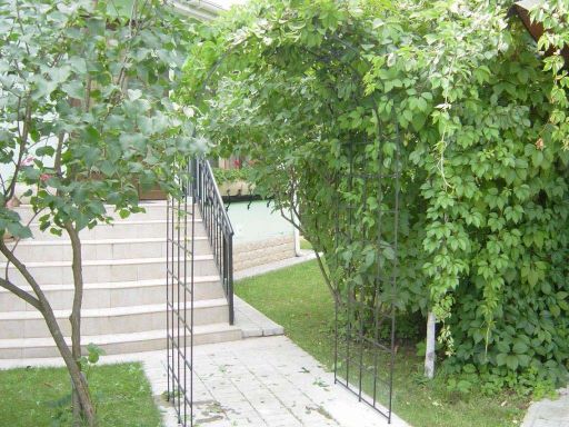 Перголы